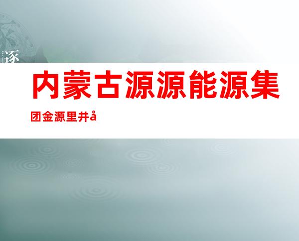 内蒙古源源能源集团金源里井工矿业有限责任公司